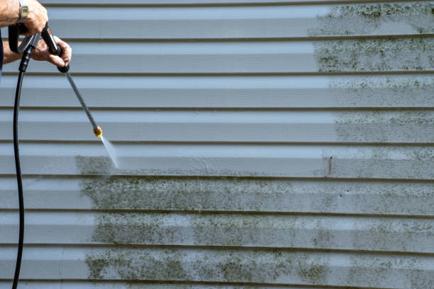 Best Same-Day Junk Removal Services  in Wolcottville, IN